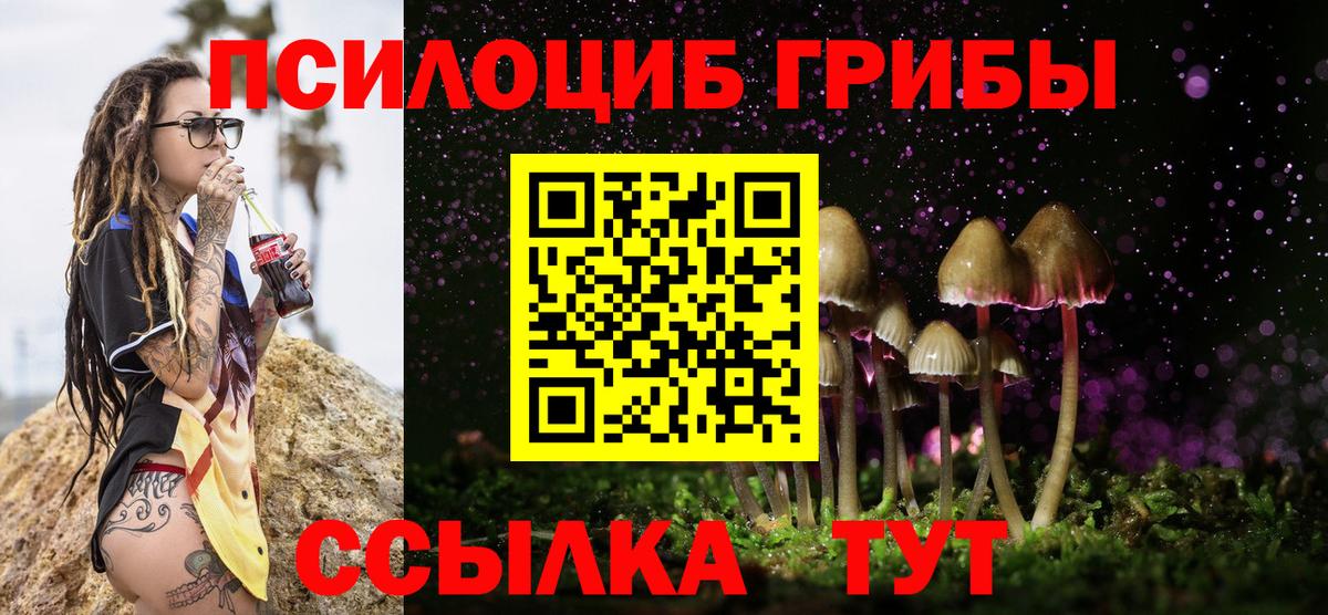 Сафоново  Псилоцибиновые грибы мухоморы  Вход с VPN  купить закладку  Псилоцибиновые грибы Psilocybine cubensis 