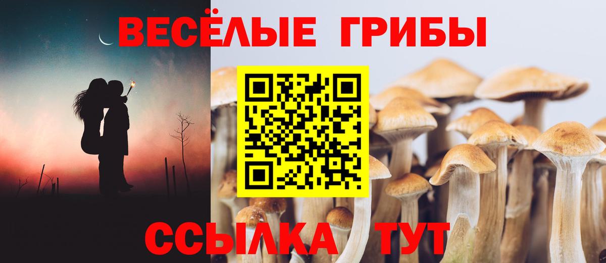 Псилоцибиновые грибы прущие грибы Сафоново